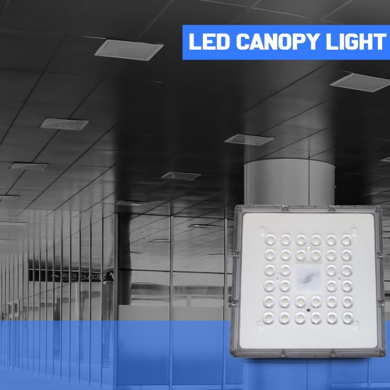 Canopy Light 60 watt